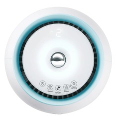 Очиститель-увлажнитель воздуха Lg HW306LME0